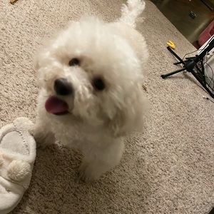 Meet your Posher, Lina